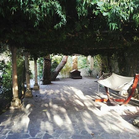 Cala Cavone Guest House Ponza Exteriör bild